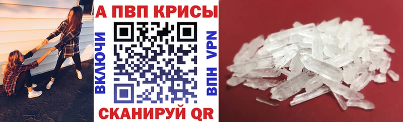 A PVP СК  Суздаль 