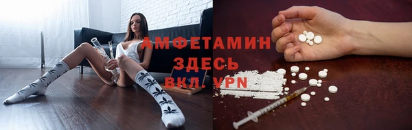ГАЛЛЮЦИНОГЕННЫЕ ГРИБЫ Медвежьегорск