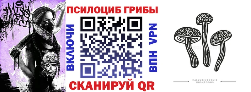 hydra ТОР Суздаль Галлюциногенные грибы GOLDEN TEACHER купить наркотики сайты