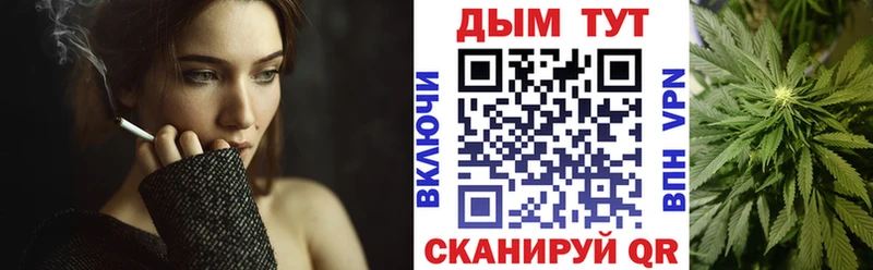 Каннабис OG Kush  Суздаль 